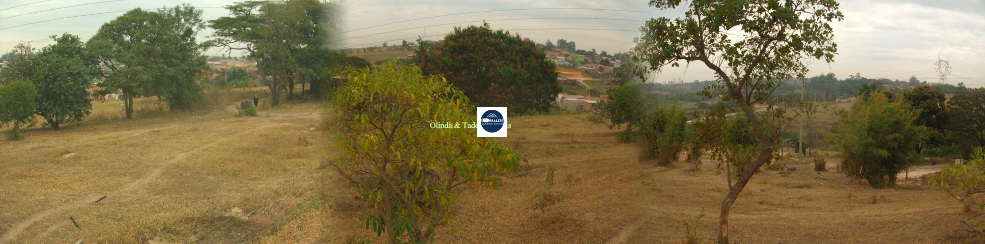 Terreno, 10 hectares - Foto 7